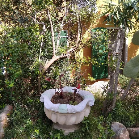 Bed and breakfast Sa Pischina *